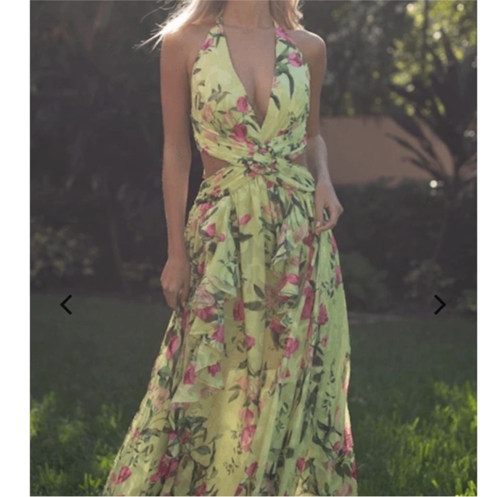 PatBO Green and Pink Backless Floral Dress